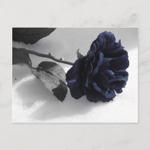 Blaue Rose Postkarte
