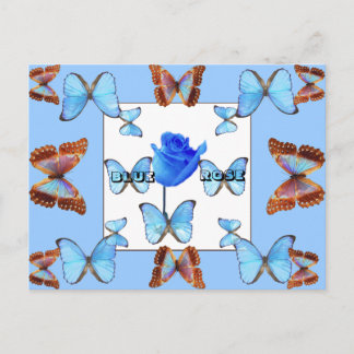 BLAUE ROSE! Postkarte