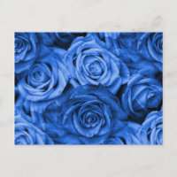 Blaue Rose