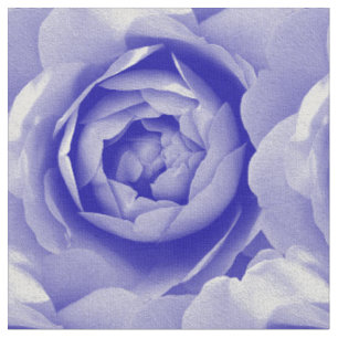Blaue Rose Stoff