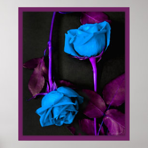 Blaue Rosen drucken -20x24 - andere sortiert Poster
