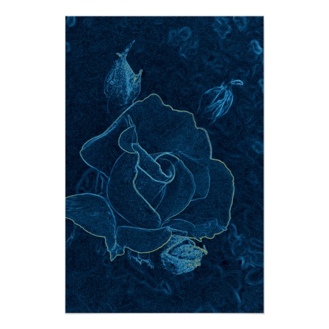blaue Rosenkontur Poster (Vorderseite)