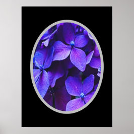 BLAUE ROT Hydrangea Poster