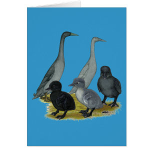 Blaue Runner-Entenfamilie