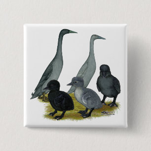 Blaue Runner-Entenfamilie Button
