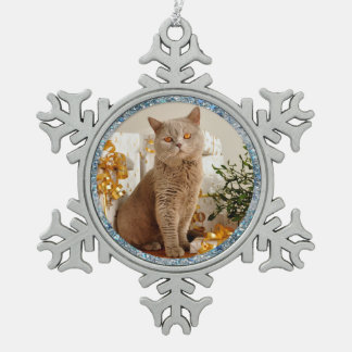 Blaue Schein-Grenzkatze und Schneeflocken Zinn-Ornament