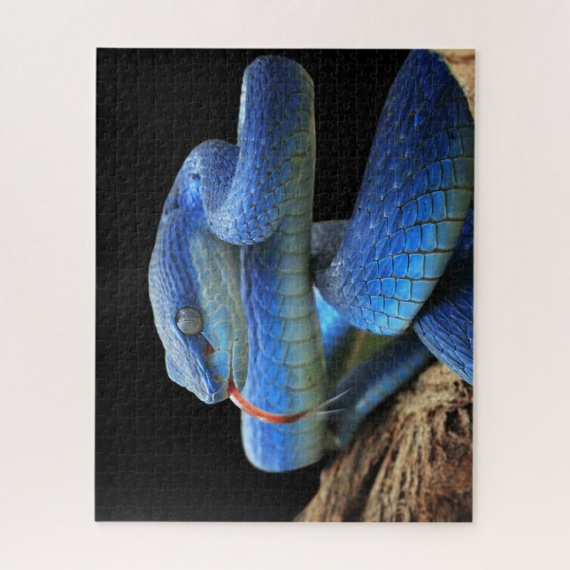 Blaue Schlange Puzzle (Vertikal)