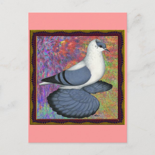 Blaue Schlucktaube Gerahmt Postkarte (Vorderseite)