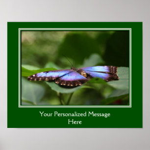 Blaue Schmetterlinge kreieren Ihr eigenes Angebot Poster