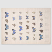 Blaue Schmetterlinge Vintage Ephemera Decoupage Tü