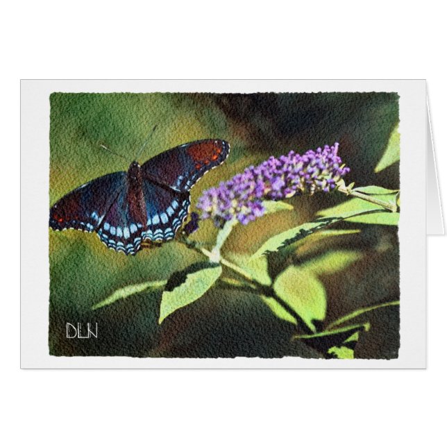 Blaue Schmetterlinge/Wildtiere/Aquarellfarben (Vorderseite (Horizontal))
