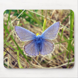 Blaue Schmetterlingsmuse Mousepad
