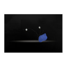 Blaue Schnecke Strand Thema Blumenmuschel Diamant