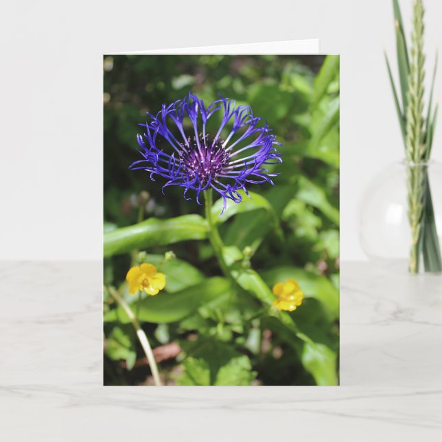 Blaue Schönheit Karte (Vorderseite)