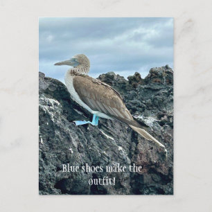 Blaue Schuh Vogel Postkarte