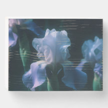 Blaue Schwertlilie-Blumenwandkunstposter