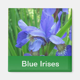 blaue Schwertlilien und grüne Blätter Magnet