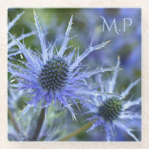 Blaue See-Holly-Distel-Monogramm Glasuntersetzer