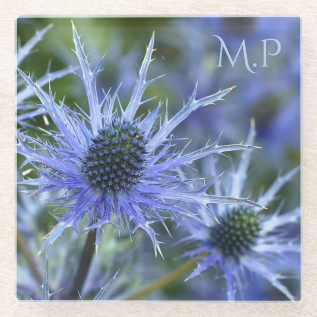 Blaue See-Holly-Distel-Monogramm Glasuntersetzer (Vorderseite)