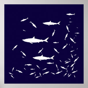 Blaue Seehaie Poster