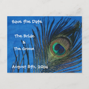 Blaue Single-Pfau-Feder-Save the Date Postkarte