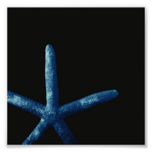 Blaue Starfish Fotodruck