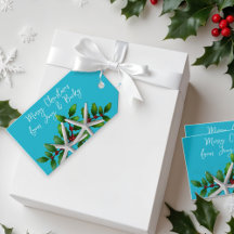 Blaue Strand-Weihnachts-Seestern-Anhänger-Geschenk