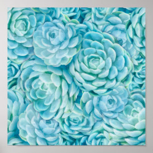 Blaue Sukkuline Poster