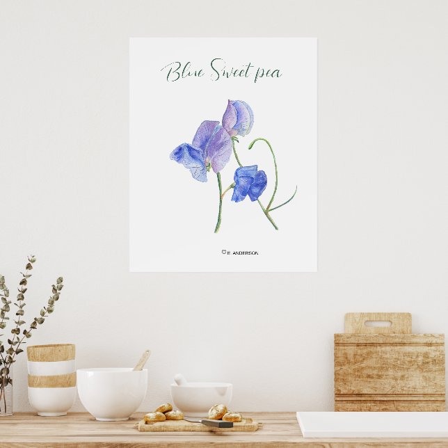 Blaue süße Blume botanische Wasserfarbe Poster (Küche)