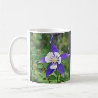 Blaue Tasse Colorados Columbine