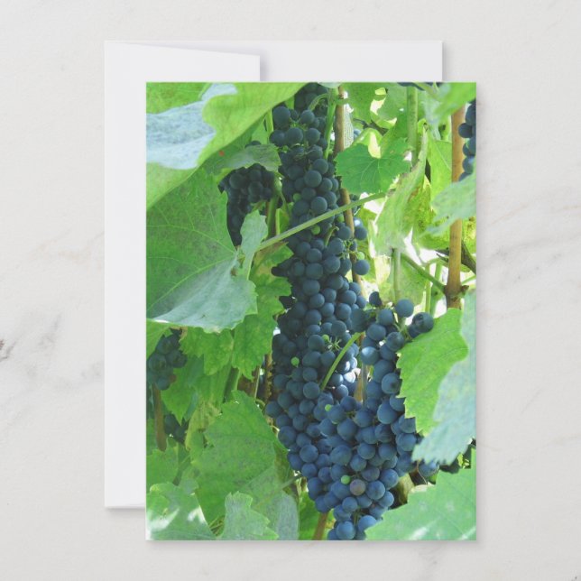 Blaue Trauben Einladung (Vorderseite)