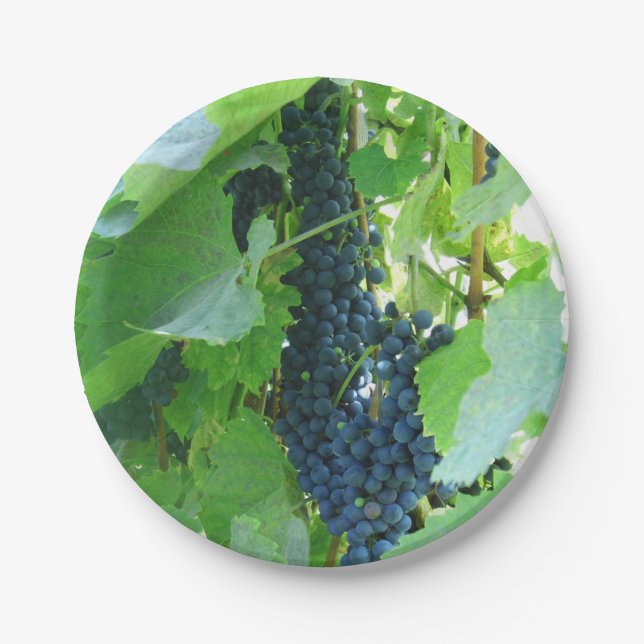 Blaue Trauben Pappteller (Vorderseite)