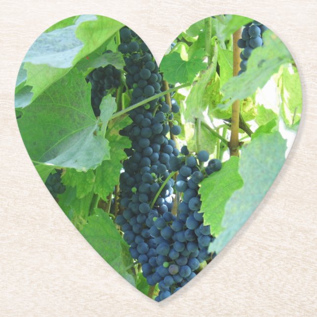 Blaue Trauben Untersetzer (Vorderseite)