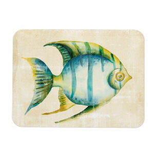 Blaue und gelbe Aquarienfische Magnet