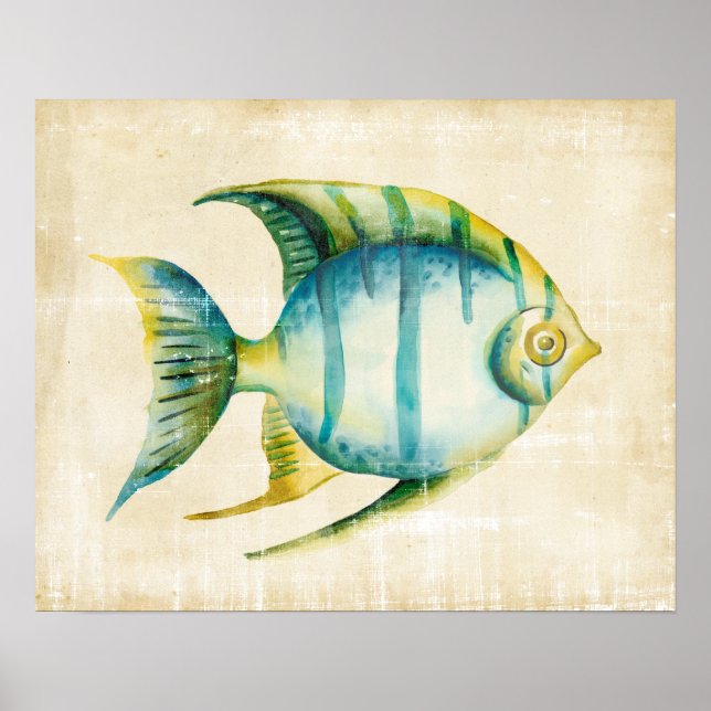 Blaue und gelbe Aquarienfische Poster (Vorne)