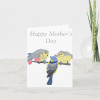 Blaue und gelbe Blauvögel essbar