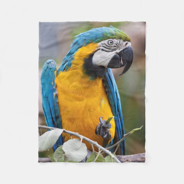 Blaue und gelbe Macaw Sherpa Decke (Vorderseite)