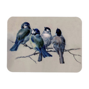 Blaue und graue Vögel auf einem Zweig Aquarell vin Magnet