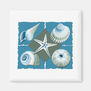 Blaue und grüne Muscheln Magnet