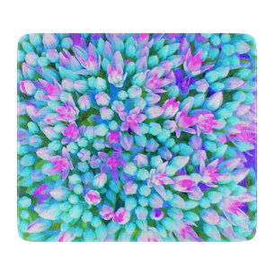 Blaue und heißrosa Sukkulenten Sedum Blüten Detail Schneidebrett