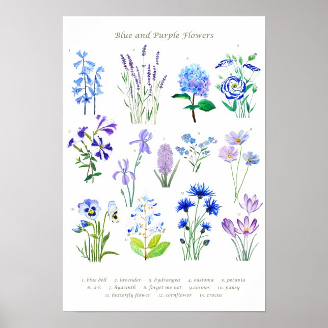 Blaue und lila Blume Poster (Vorne)