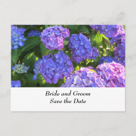 Blaue und Lila Hydrangeas für Hochzeiten Ankündigungspostkarte
