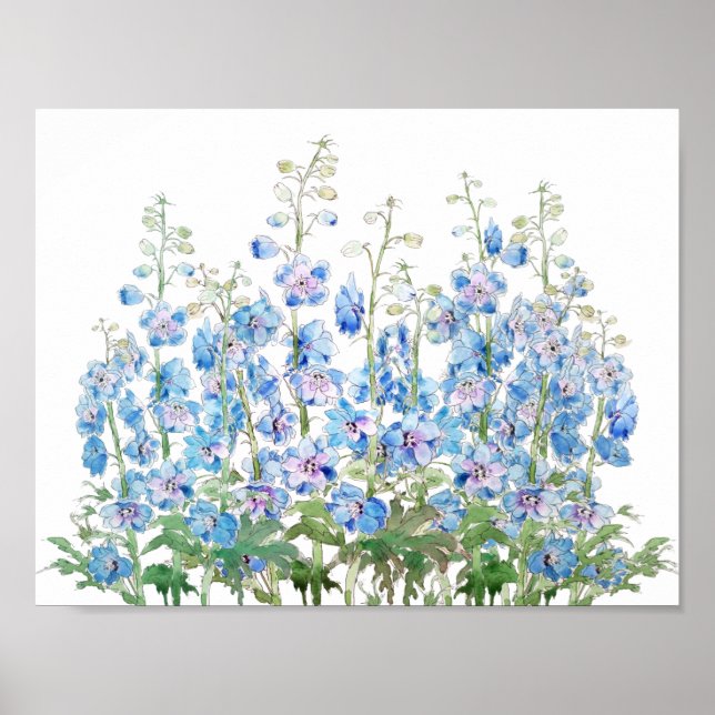 Blaue und lila Larkspur Poster (Vorne)