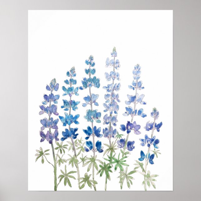 blaue und lila Lupine-Blume Aquarell Poster (Vorne)