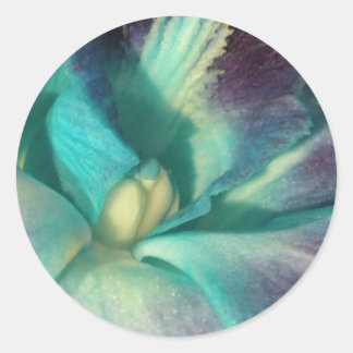 Blaue und lila Orchidee nah Runder Aufkleber