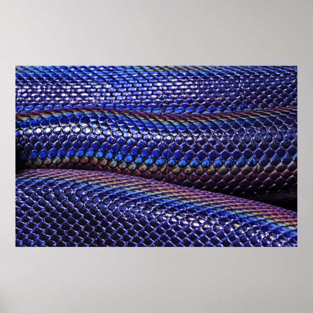 Blaue und lila Schlange Poster (Vorne)