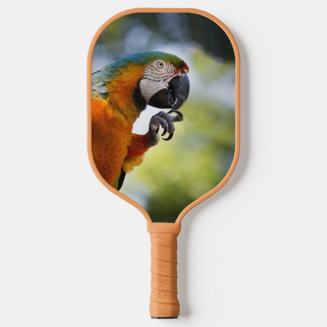 Blaue und orange Macaw Pickleball Paddle (Vorderseite)