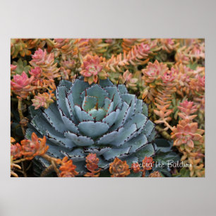 Blaue und orange Succulents Poster