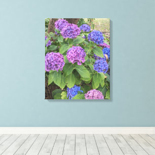 Blaue und rosa Hortensienblüten Floral Leinwanddruck