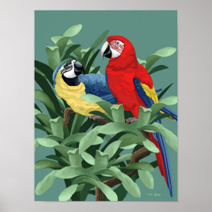 Blaue und rote Macaw-Poster und Kunstdrucke Poster